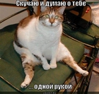 https://lolkot.ru/2012/05/29/odnoy-rukoy/