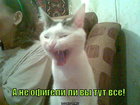 https://lolkot.ru/2012/02/14/ofigeli-vse/