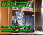 https://lolkot.ru/2017/03/23/ofitsiant-myastsa/