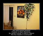 https://lolkot.ru/2016/01/20/ohotniki-za-yolkami/