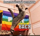 https://lolkot.ru/2012/06/10/olimpiyskiy-chempion-vasya/