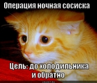 https://lolkot.ru/2011/09/23/operatsiya-nochnaya-sosiska/