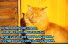 https://lolkot.ru/2016/01/30/optimizm-spaset-mir/