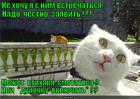 https://lolkot.ru/2014/03/17/optsiya-durochka/