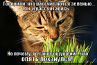 https://lolkot.ru/2012/08/14/opyat-lohanulsya/
