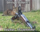 https://lolkot.ru/2011/04/18/opyat-v-oblome/