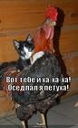 https://lolkot.ru/2012/09/02/osedlal/