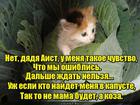 https://lolkot.ru/2016/02/09/oshiblis-adresom/