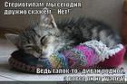 https://lolkot.ru/2013/05/20/oshibochka-vyshla/