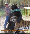 https://lolkot.ru/2011/05/16/osobennosti-natsionalnoy-ohoty/