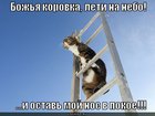 https://lolkot.ru/2011/03/26/ostav-moy-nos-v-pokoye/
