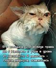 https://lolkot.ru/2024/08/10/osvezhitelnaya-reshitelnost/