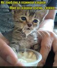 https://lolkot.ru/2010/10/06/ot-kashki-tyazhko/