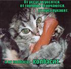 https://lolkot.ru/2011/03/15/ot-kolbasy/