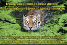 https://lolkot.ru/2014/12/01/ot-zheny-ne-uydesh/
