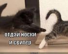 https://lolkot.ru/2013/01/08/otday-noski-i-sviter/