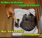 https://lolkot.ru/2015/10/27/otkuda-berutsya-deti/