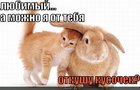 https://lolkot.ru/2010/07/04/otkushu-kusochek/