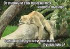 https://lolkot.ru/2012/09/03/otlichnyy-son/