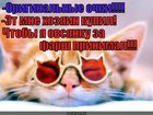 https://lolkot.ru/2012/07/30/ovsyanku-za-farsh/