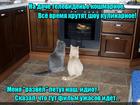 https://lolkot.ru/2016/05/19/ozhidaniya-realnost/