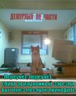 https://lolkot.ru/2013/03/06/p-p-potomu-chto-m-my-pilloty/