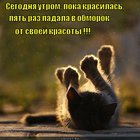 https://lolkot.ru/2012/04/30/padala-v-obmorok/