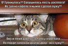 https://lolkot.ru/2014/03/03/palka-servelata/