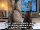 https://lolkot.ru/2012/12/29/papka-artist/