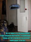 https://lolkot.ru/2016/07/10/paranormalnaya-sosedka/