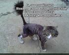 https://lolkot.ru/2012/02/01/parikmaher-podstrig/