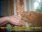 https://lolkot.ru/2012/02/20/past-porval-by/