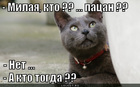 https://lolkot.ru/2012/06/29/patsan/