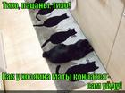 https://lolkot.ru/2015/09/30/patsany-ne-palite/