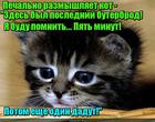 https://lolkot.ru/2016/11/28/pechal-buterbrodnaya/
