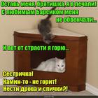 https://lolkot.ru/2016/04/12/pechalnoye-goreniye/