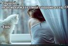 https://lolkot.ru/2012/05/01/pechenki-4/