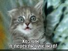 https://lolkot.ru/2012/06/18/pereklyuchi-kanal/