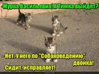 https://lolkot.ru/2016/02/22/peresdacha/
