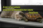 https://lolkot.ru/2015/10/17/perevospitaniye/