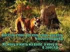 https://lolkot.ru/2014/11/25/pereyezd-v-zoopark/