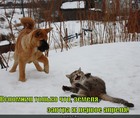 https://lolkot.ru/2011/04/01/pervoye-aprelya/