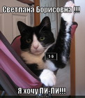 https://lolkot.ru/2011/03/27/pervyy-be/