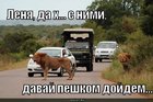 https://lolkot.ru/2010/09/15/peshkom-doydem/