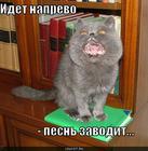 https://lolkot.ru/2010/07/29/pesn-zavodit/