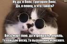https://lolkot.ru/2024/05/19/pevchiy-vyrazitel/