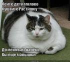 https://lolkot.ru/2011/06/03/peyte-moloko/
