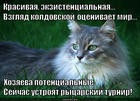 https://lolkot.ru/2015/07/24/piar-80lvl/