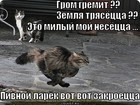 https://lolkot.ru/2012/03/16/pivnoy-laryok/