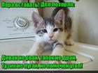 https://lolkot.ru/2016/06/02/plan-minimum/